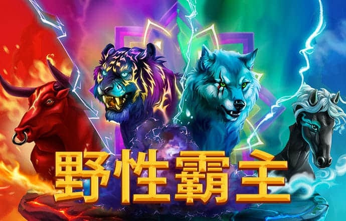 银河至尊入口